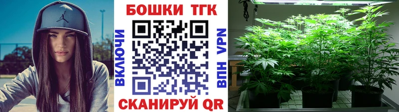 mega как зайти  Трёхгорный  Бошки Шишки SATIVA & INDICA  магазин  наркотиков 